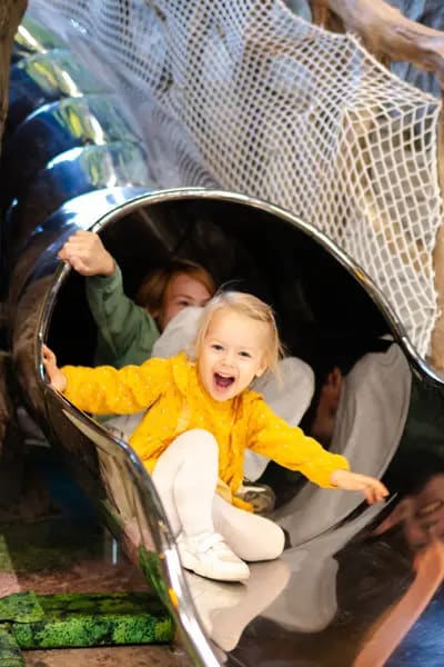 Новогодняя сказка в «Лес чудес»