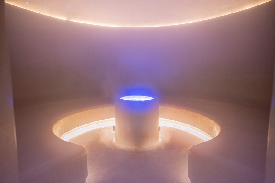 Кристалловая паровая