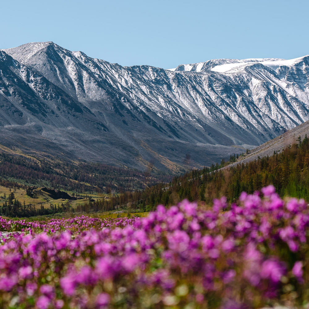 Самые красивые фотографии