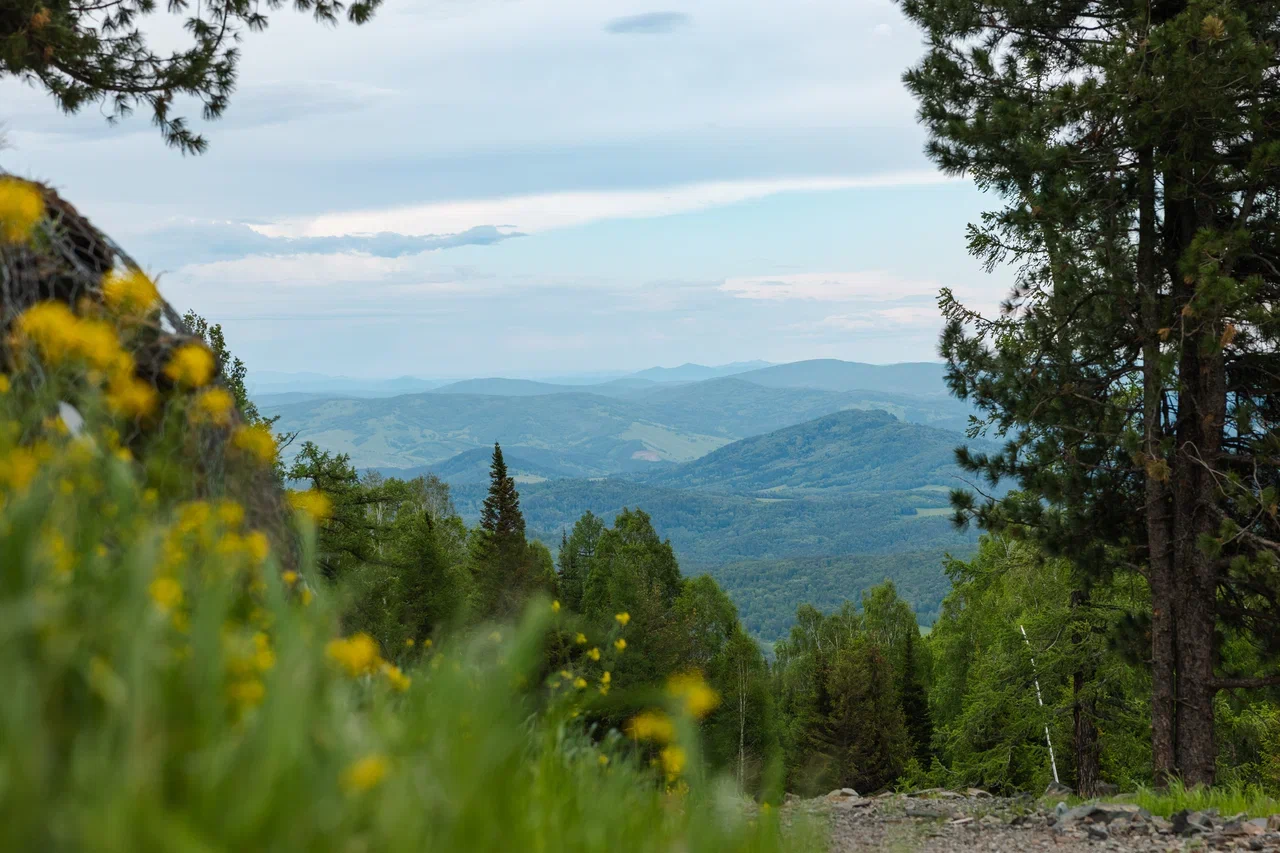 Алтай весной