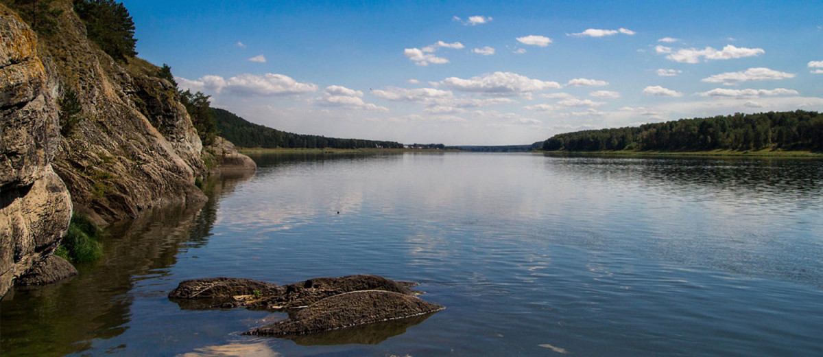 Курорт Сбера «Манжерок» выпустил в сибирские реки 50 тысяч мальков нельмы