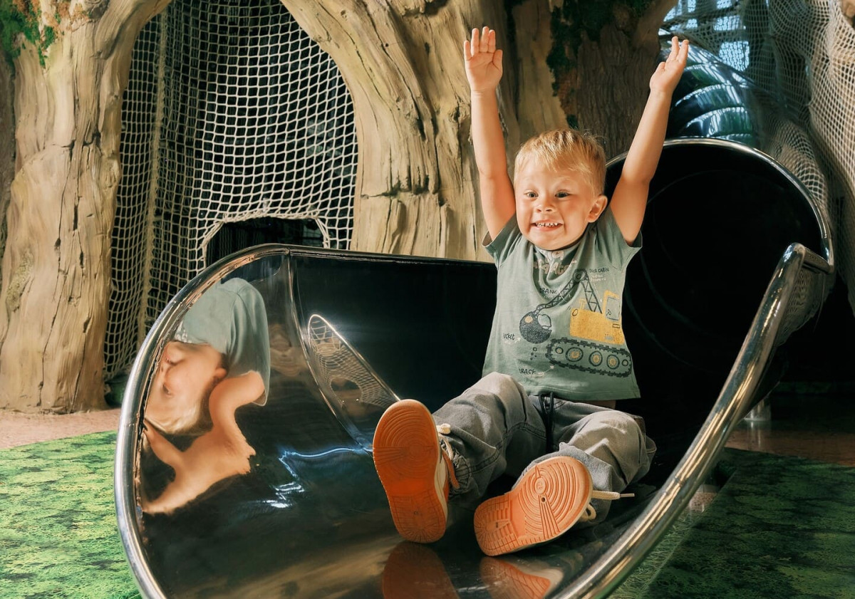 Приключенческие выходные для детей в «Лес Чудес»