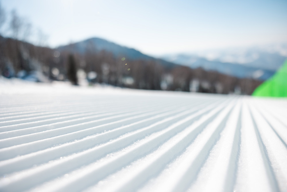 Вельвет - Марал