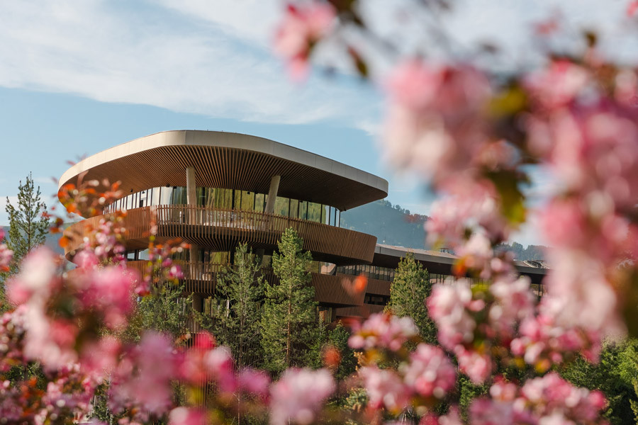 Алтайские каникулы