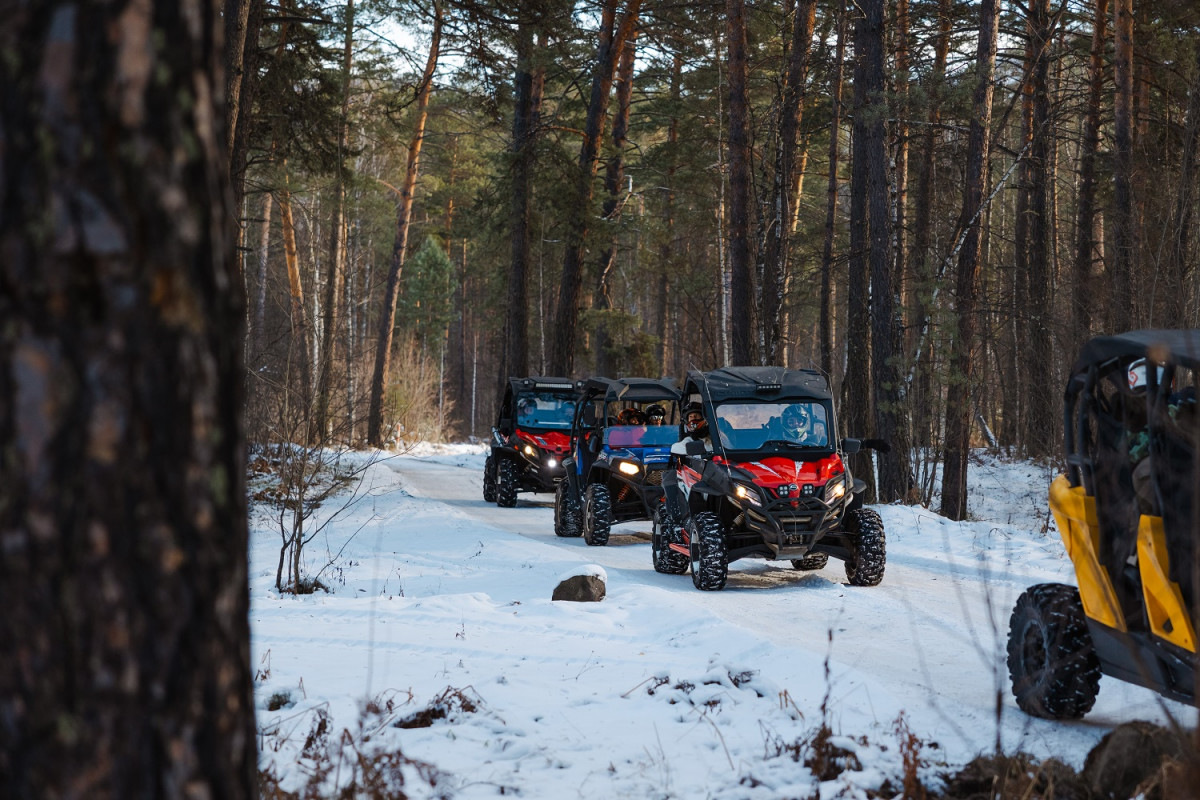 Экскурсии на багги