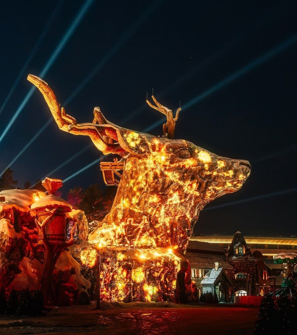 Парк приключений Дримвуд