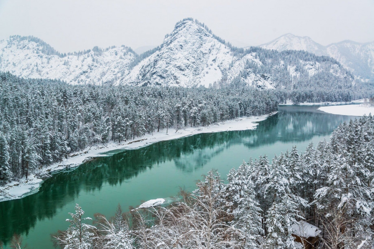 Отдых по программе «Знакомство с Алтаем»